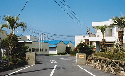 kyushu_plant